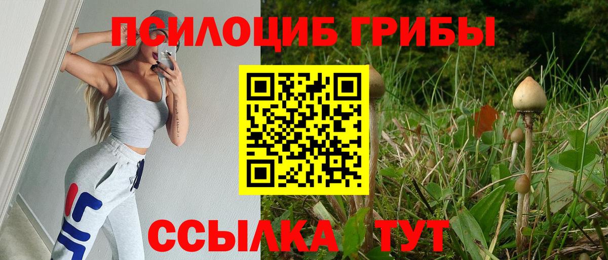 Майский  Галлюциногенные грибы MAGIC MUSHROOMS  Вход с VPN 